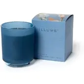 Illume Citrus Crush Boxkerze blau