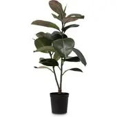 Fleur Ami Ficus Elastica Kunstpflanze 95 cm