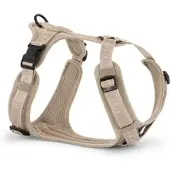MiaCara - Modena Hundegeschirr S, greige