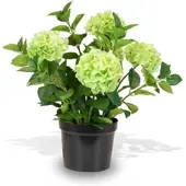 Fleur Ami Hortensie (Hydrangea) Kunstpflanze mit 5 Blüten grün