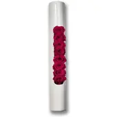 Flowerbox Infinity-Bloom Tube - weiß/berry - 40x6,5 cm