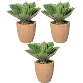 Creativ Green künstliche Pflanze Echeveria, ca 25cm, 3er Set