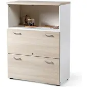 ACTIU Hängeregistraturschrank 2 Schübe Modrass
