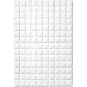 Sanders Kauffmann Sanders Atelier Premium Daunendecke medium - 155x220cm