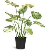 Fleur Ami Fensterblatt - Monstera Kunstpflanze, 85 cm