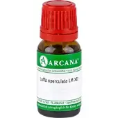 Arcana Luffa Operculata Lm 12 10 ML