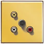 JUNG Mutimedia-Einsatz Cinch Audio/Composite Video/S-Video (Gold)