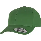 Flexfit Curved Classic Snapback - 1666