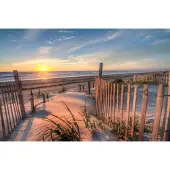 Papermoon Fototapete "Outer Banks Dunes", bunt, B:2,5m L:1,86m, Vlies, Tapeten, Fototapete