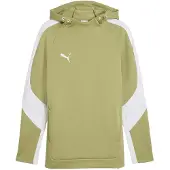Puma Teamevostripe Kapuzensweat Herren - Olive