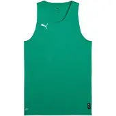 Puma Herren Teamjaws Starter Jersey Trikots (1er Pack)