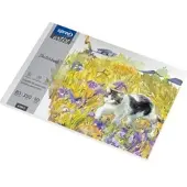 Spree Drawing pad 350g. 10 sheets. B3 500*350mm.