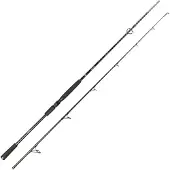 Spro Big Lure Spin 2,20m 40-120g - Spinnrute