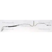 TRISCAN Bremsschlauch 8150 25230