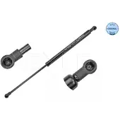 Meyle 16-40 910 0026 Gasfeder Heckklappendämpfer für RENAULT Clio III Schrägheck (BR0/1, CR0/1) 450mm