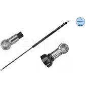 Meyle 40-40 910 0002 Gasfeder Heckklappendämpfer für CITROËN Berlingo / Berlingo First (MF, GJK, GFK) 700mm