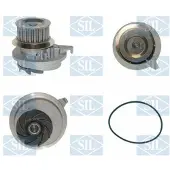Saleri SIL Wasserpumpe PA624P
