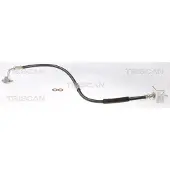 TRISCAN Bremsschlauch F10x1 & Banjo IAM-Expertise für u.a. TESLA MODEL
