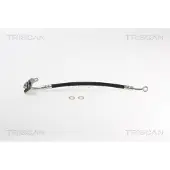 TRISCAN Bremsschlauch F10x1 & Banjo IAM-Expertise für KIA CARNIVAL