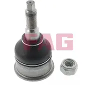 Schaeffler FAG Trag-/Führungsgelenk 825 0355 10