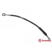 Brembo Bremsschlauch ESSENTIAL LINE T 59 080