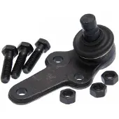 FEBEST Traggelenk Vorne Unten für FORD FOCUS (DAW, DBW) 2120-FOC