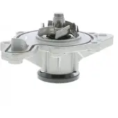 VAICO Wasserpumpe Original Qualität V30-50055