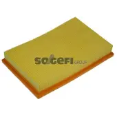 FRAM Luftfilter CA9015