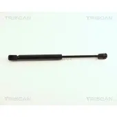 TRISCAN Gasfeder, Koffer-/Laderaum 8710 29248