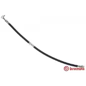 Brembo Bremsschlauch ESSENTIAL LINE T 56 174