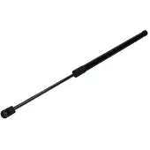 MAXGEAR 12-2478 Gasfeder Heckklappendämpfer für VW Caddy III Kombi (2KB, 2KJ, 2CB, 2CJ) 555mm