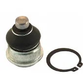MAPCO Traggelenk Unten Vorne Links Vorne Rechts für NISSAN MICRA III (K12) 51283