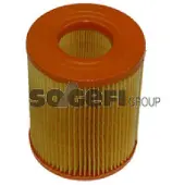 FRAM Luftfilter CA8789