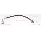 TRISCAN Bremsschlauch F10x1 & Banjo IAM-Expertise für TESLA MODEL