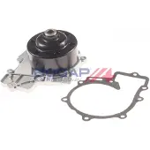 BOGAP Wasserpumpe Premium C4234134