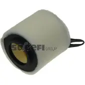 FRAM Luftfilter CA9950
