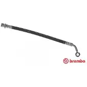 Brembo Bremsschlauch ESSENTIAL LINE T 83 093