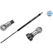 Meyle 2X Heckklappendämpfer Gasfeder Heckklappe Kofferraum 16-40 910 0016