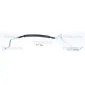TRISCAN Bremsschlauch 8150 80212