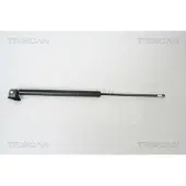 TRISCAN Gasfeder, Koffer-/Laderaum 8710 50240