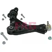 Schaeffler FAG Lenker, Radaufhängung 821 1175 10