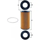 MAHLE ORIGINAL Ölfilter OX 434D