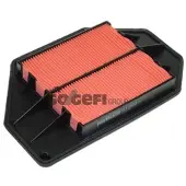 PURFLUX Luftfilter A1209