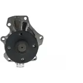 AISIN Kühlmittelpumpe Wasserpumpe für TOYOTA RAV 4 III (ACA3, ACE, ALA3, GSA3, ZSA3) WPTS-008