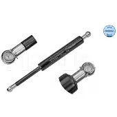 Meyle 040 910 0003 Gasfeder Heckklappendämpfer passend für MERCEDES-BENZ R-Klasse (W251, V251) 312,5mm