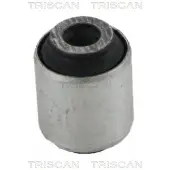 TRISCAN Lagerung, Lenker 8500 10874