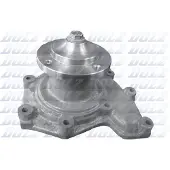 DOLZ Wasserpumpe D217