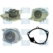 Saleri SIL Wasserpumpe PA1515