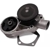 HEPU Wasserpumpe P641