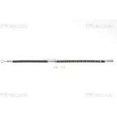 TRISCAN Bremsschlauch 484 mm F10x1 & Banjo IAM-Expertise für u.a. VOLVO S40